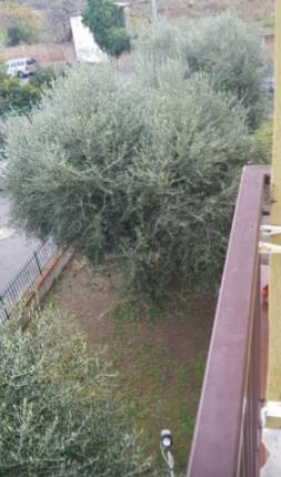 Terr.in Asta a Albenga(SV)Fraz. Pontelungo Inf. 23