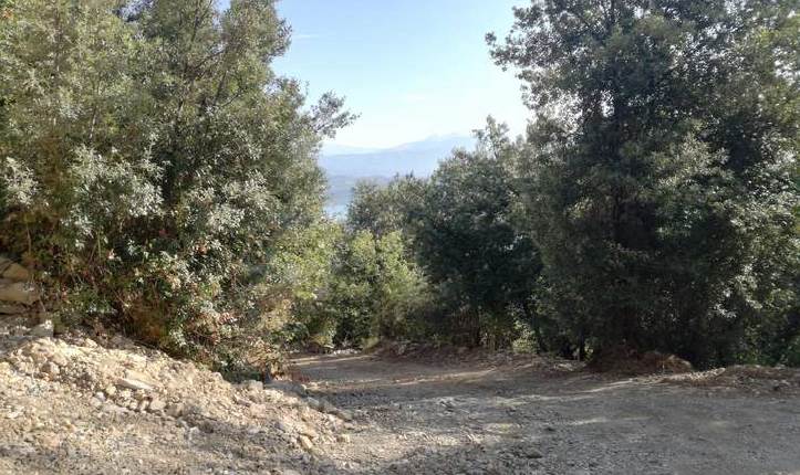 Terreno in Asta a La Spezia Fraz. Monte S.ta Croce