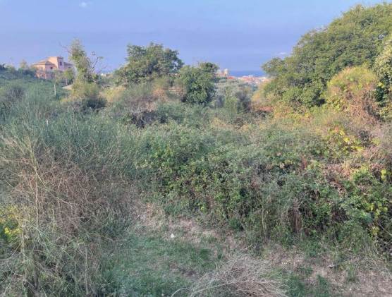 Terreni in Asta a Lavagna(GE)V.Madonna della Neve 
