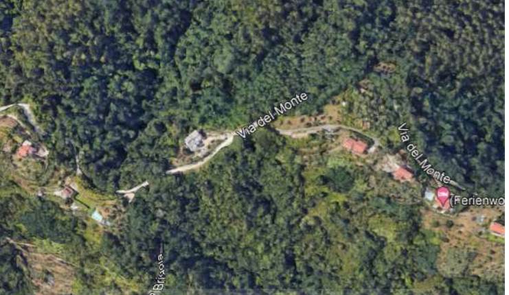 2 Terreni in Asta a La Spezia Loc. San Venerio snc