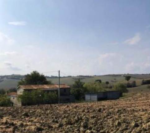 Cascina e accessori agricoli in asta a Fano