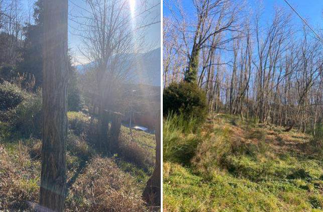 Stalla e Terreni in Asta a Genova Via Madonna delle Vigne, Loc. Cesino